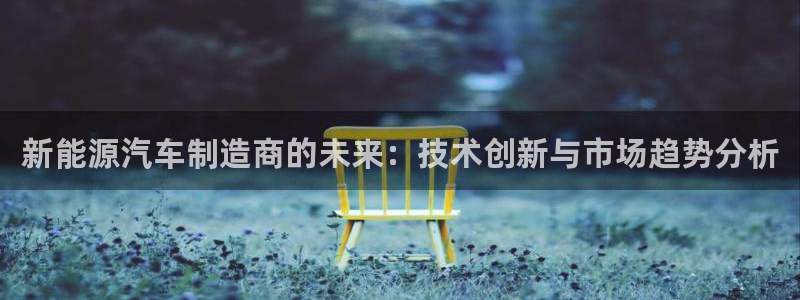 新宝gg可乐88383:新能源汽车制造商的未来:技术创新与市