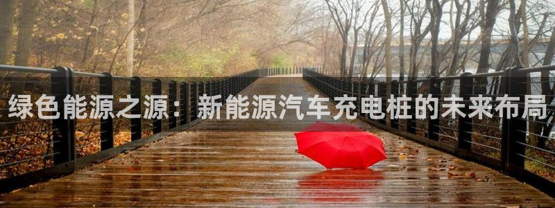 新宝gg 网址:绿色能源之源:新能源汽车充电桩的未来布局
