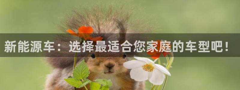 新宝GG最高返点多少