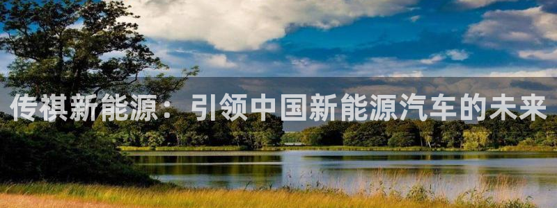 新宝GG槐78778：传祺新能源：引领中