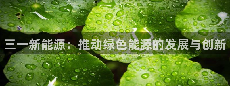 新宝 gg平台：三一新能源：推动绿色能源