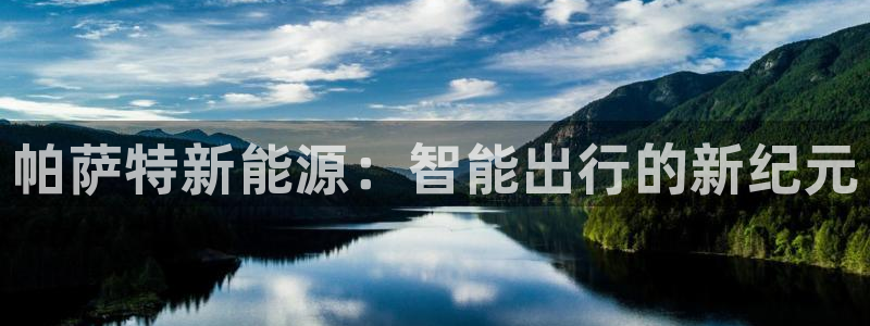 新宝gg怎样：帕萨特新能源：智能出行的新