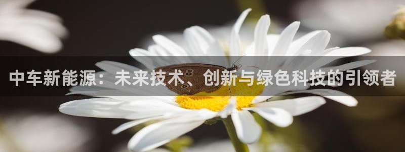 新宝gg开号：中车新能源：未来技术、创新